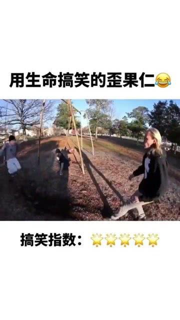 用生命搞笑,用生命搞笑的欢乐之旅