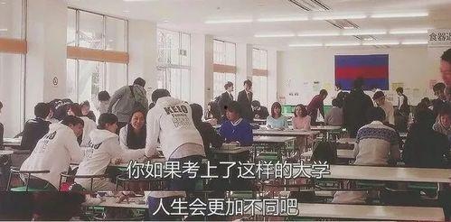 大学食堂网红歌名,探寻大学食堂网红歌背后的故事