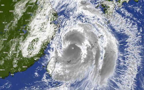 台风照片,狂风巨浪下的壮阔景象