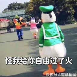 海浪打翻表情包,一场视觉盛宴的海洋奇遇