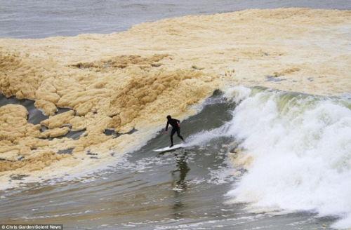 海浪打翻表情包,一场视觉盛宴的海洋奇遇