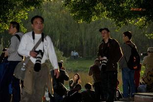 今日花絮,精彩瞬间汇聚，趣味横生一幕幕