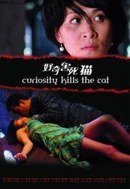 好奇害死猫娱乐,揭秘娱乐界的神秘面纱