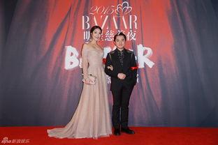 明星慈善夜2015,星光熠熠，爱心闪耀公益之夜